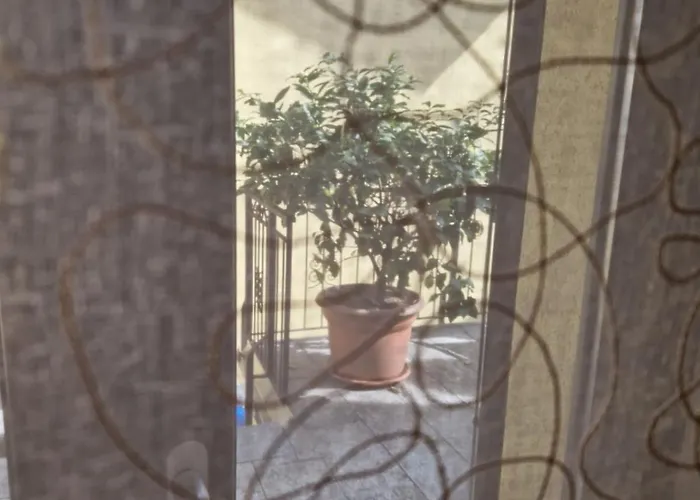 Casa Matisse Daire